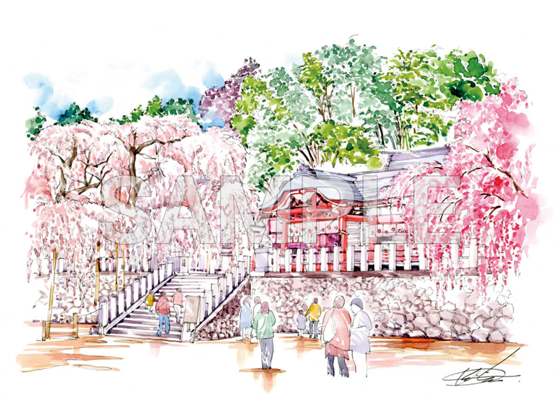 諏訪神社のしだれ桜(小川)